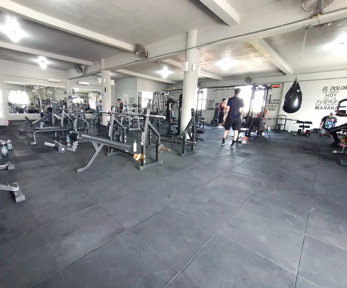 Full Body Fitness